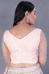 Silver Embroidered Lehenga Choli