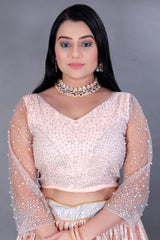 Silver Embroidered Lehenga Choli