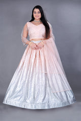 Silver Embroidered Lehenga Choli