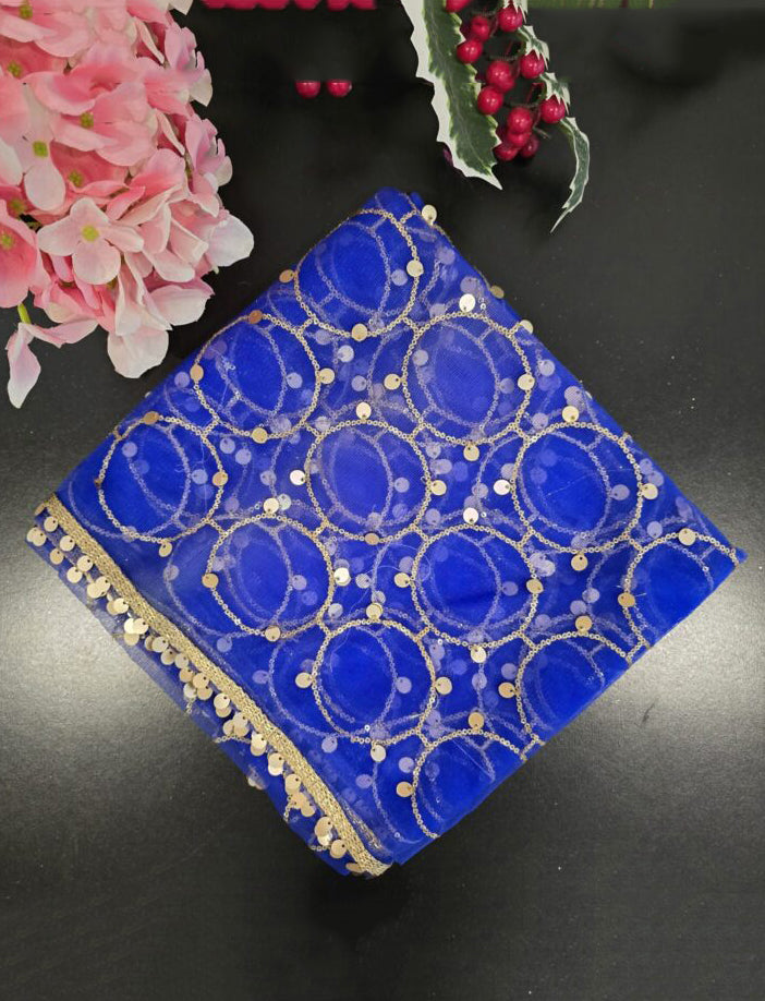 Blue Net Dupatta