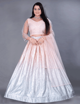 Silver Embroidered Lehenga Choli