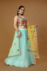 Traditional Blue Lehenga Women