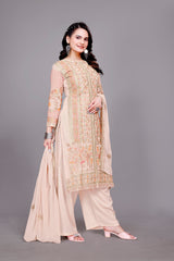 Women Pakistani Suit