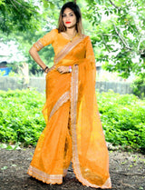 Banglori silk with Embroidery work