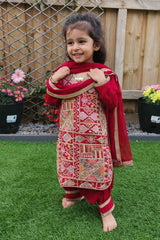 Red Embroidered Girl Punjabi Suit