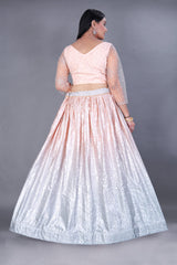 Silver Embroidered Lehenga Choli