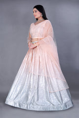 Silver Embroidered Lehenga Choli