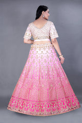 Pink Flared Lehenga Choli