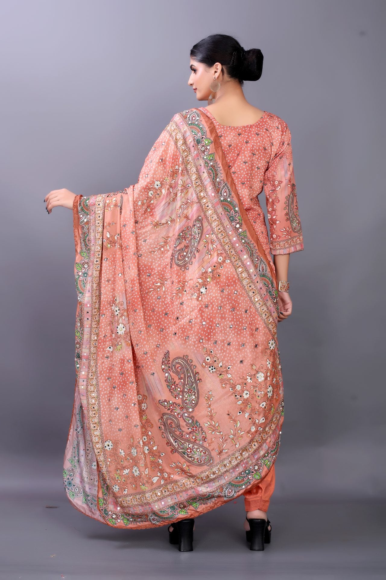 Mirror Work Punjabi Suit