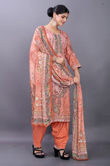 Mirror Work Punjabi Suit