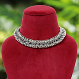 Silver Oxidized Necklace