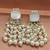 White Stone Pearl Earrings