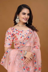 Peach Hand Embroidered Saree