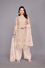 Women Pakistani Suit