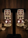 Marron Colour Earrings
