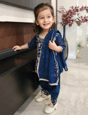 Blue Heavy Salwar Suit Girls